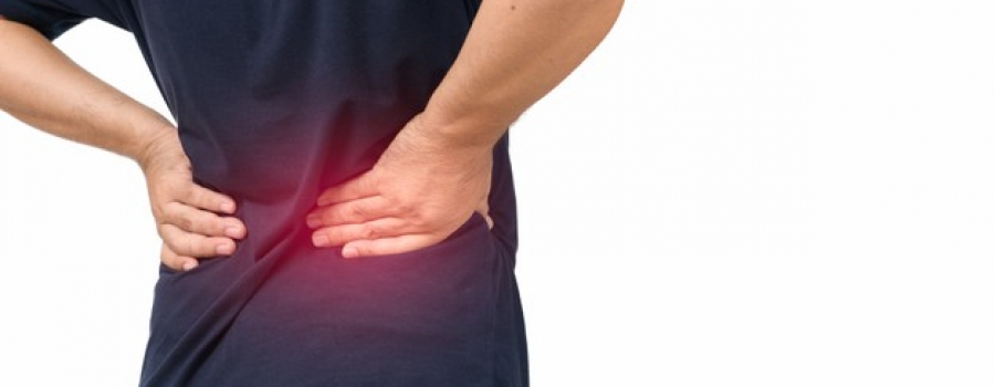 Sensibilisation aux Risques Dorso-lombaires